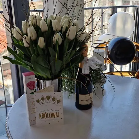 Prestige & Sea Horyzont 613 *